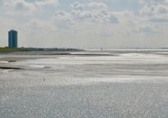Schutzstation Wattenmeer e.V.