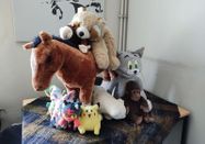 drwosch@web.de