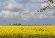 Schutzstation Wattenmeer e.V.