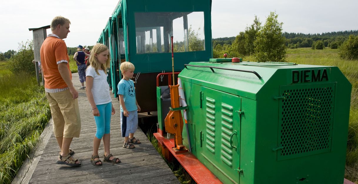 Eine Familie steht neben einer kleinen grünen Moorbahn mit der Aufschrift 'DIEMA' auf einem Holzsteg in einer grünen Landschaft.