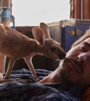 Lilly und die Kängurus2