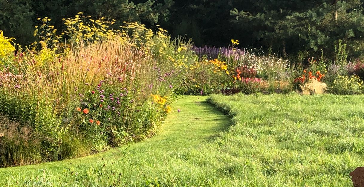Wildblumen wachsen entlang des saftig grünen Rasens im Garten am Mühlenbach in Hanstedt. 