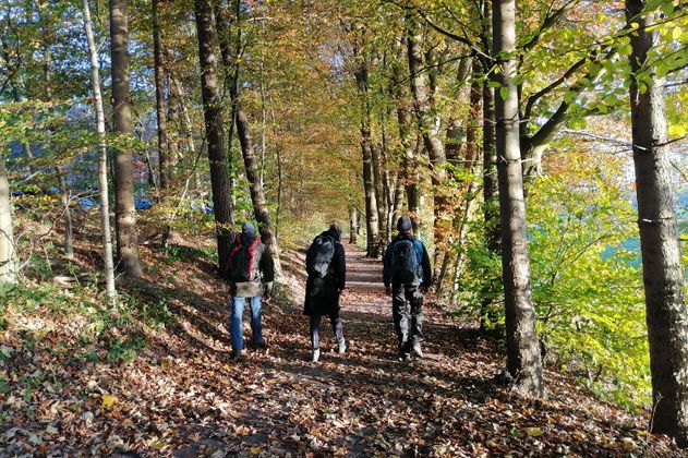 Drei Personen wandern im Herbst durch einen Waldweg, umgeben von buntem Laub.