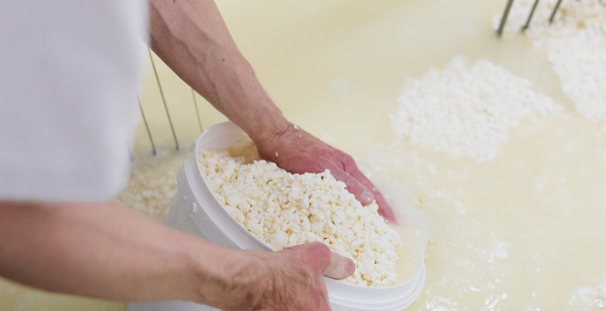 Person schöpft Käsebruch aus einer Flüssigkeit in einem Behälter.