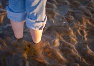 Schutzstation Wattenmeer e.V.