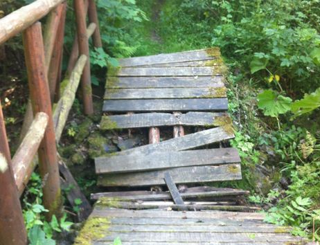 Ein beschädigter Holzsteg mit schiefen Brettern führt durch dichtes Grün im Wald.