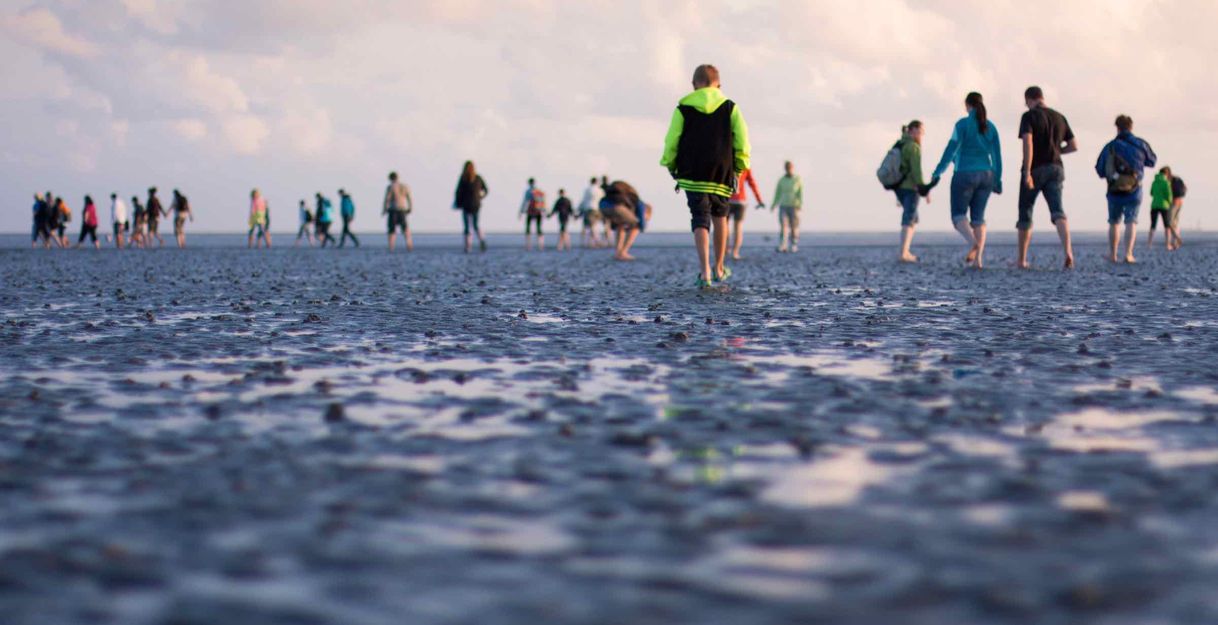Watt für Einsteiger: Kurze Wattwanderung in Büsum