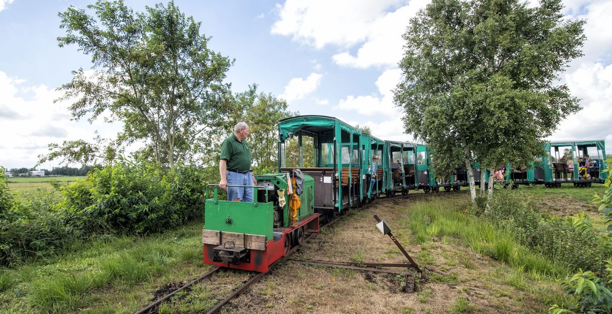 Eine kleine grüne Moorbahn fährt durch eine ländliche Landschaft mit Bäumen und Wiesen. Ein Mann steht auf der Lokomotive.
