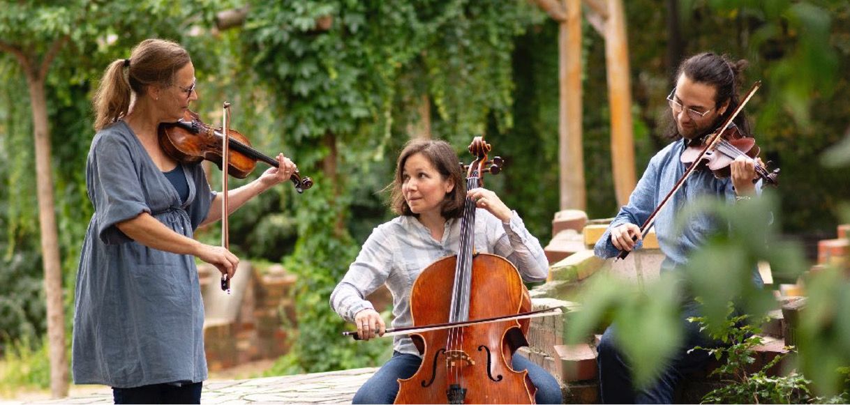 „handgemachte Volxmusik“: hälm - Nordic Folk