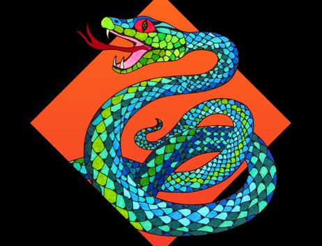 Illustration einer bunten Schlange vor einem orangefarbenen Hintergrund.