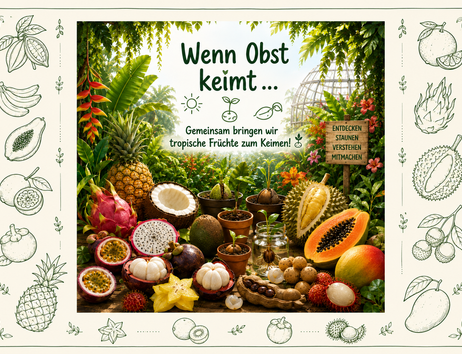 Wenn Obst keimt ...