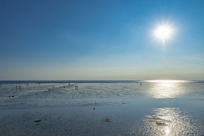 Menschen bei einer Wattwanderung in Büsum unter strahlendem Sonnenschein.