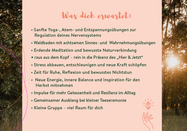 Claudia Keil-Werner | Waldimpuls-Hamburg