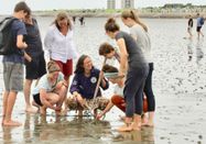 Schutzstation Wattenmeer e.V.