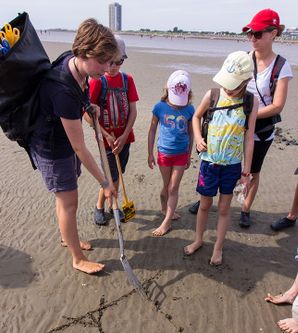 Wattwanderung in Büsum: Weltnaturerbe Wattenmeer