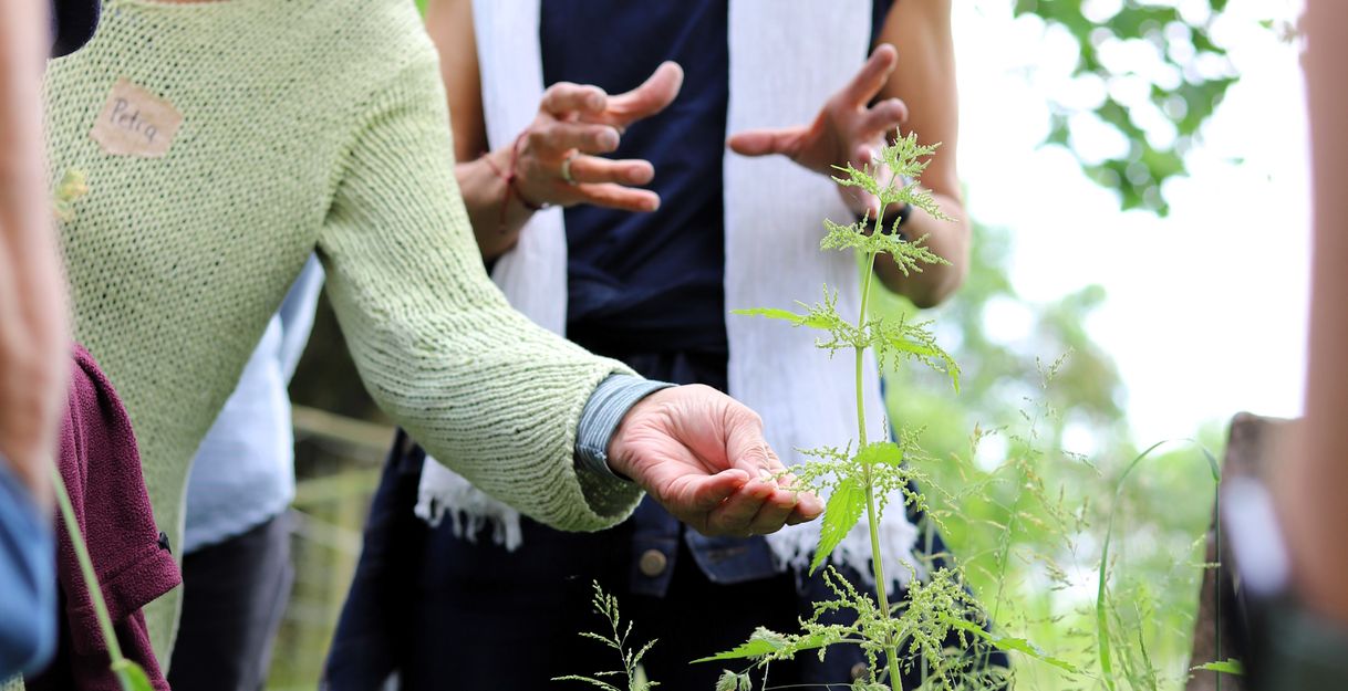Gruppe von Menschen untersucht Pflanzen im Freien.