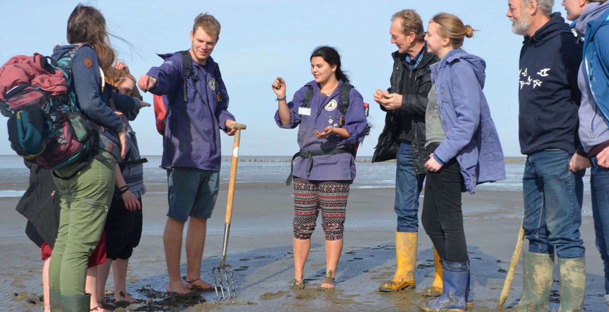 Führung: Wattwanderung vor dem Meldorfer Speicherkoog