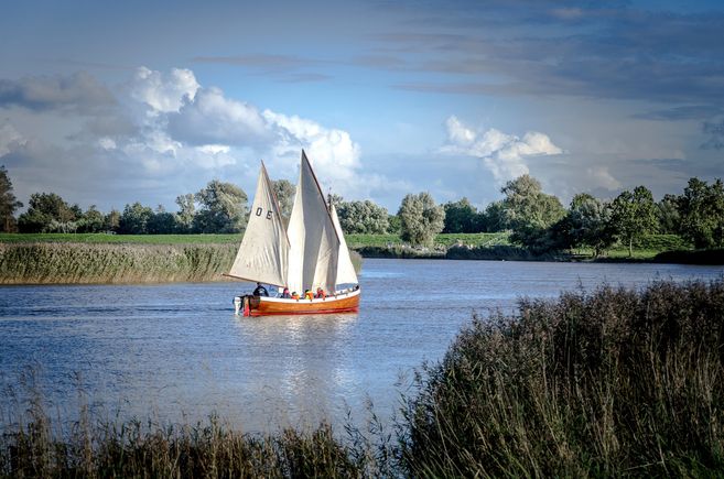 Ein Segelboot mit weißen Segeln fährt auf einem Fluss, umgeben von grüner Landschaft und blauem Himmel.