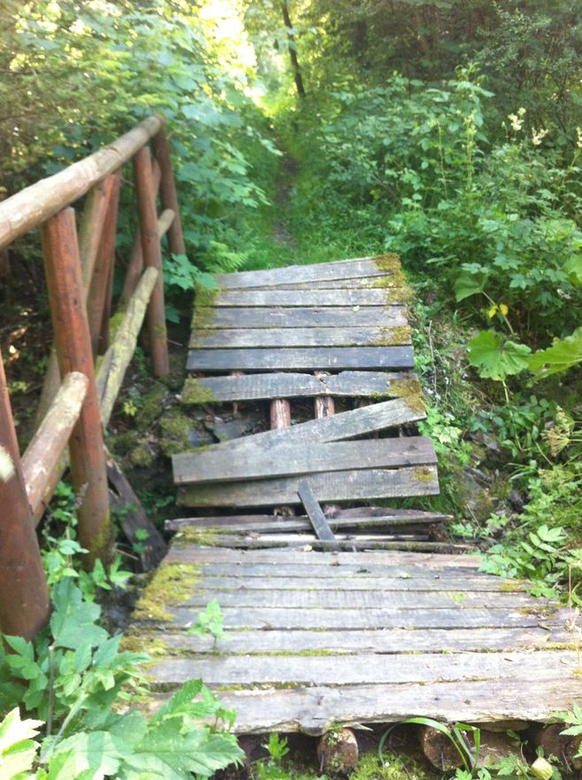 Ein beschädigter Holzsteg mit schiefen Brettern führt durch dichtes Grün im Wald.