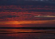 Schutzstation Wattenmeer e. V