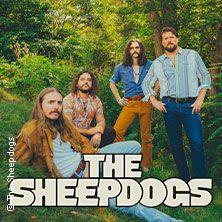 Vier Männer posieren in einem Wald, der Schriftzug 'The Sheepdogs' ist im Vordergrund.