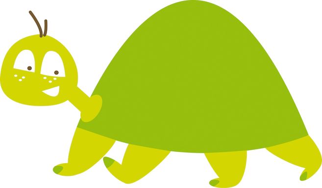 Illustration einer grünen Schildkröte mit einem freundlichen Gesicht.