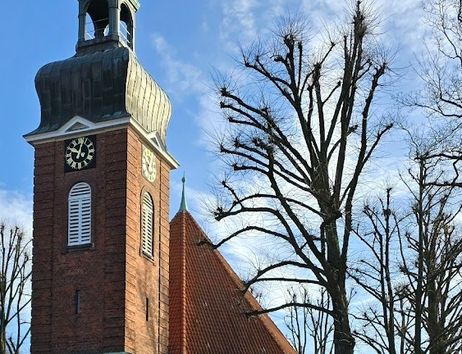 Backsteinkirche mit Turm und grüner Kuppel, umgeben von kahlen Bäumen unter blauem Himmel.