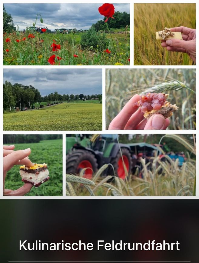 Collage von Bildern einer ländlichen Umgebung mit Mohnblumen, Feldern, Traktoren und kulinarischen Snacks in der Hand gehalten.