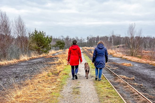 Zwei Personen spazieren mit einem Hund auf einem Weg im Himmelmoor.