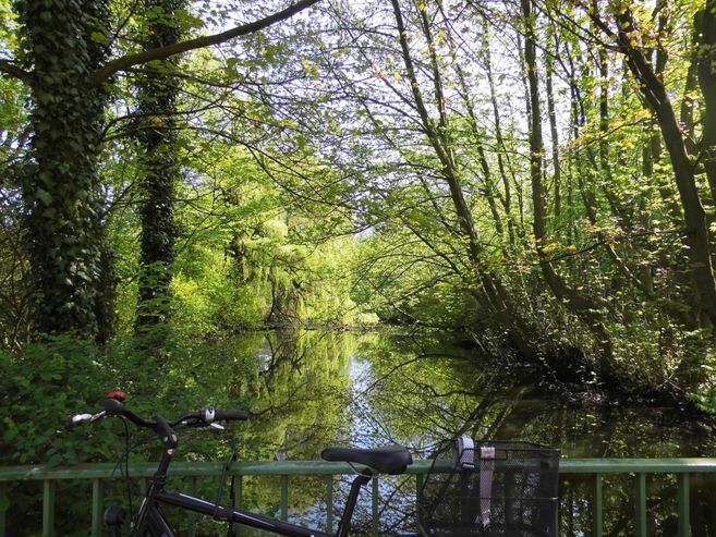 Maiengrün an der Wandsebrücke
