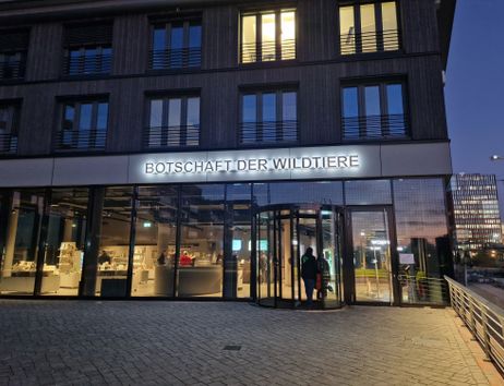 Eingang der Botschaft der Wildtiere bei Nacht