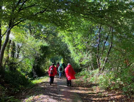 Menschen in roten Jacken wandern auf einem von Bäumen gesäumten Weg.