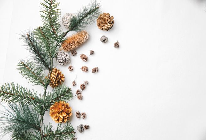 Weihnachtliche Tannenzweige und Zapfen auf weißem Hintergrund, passend zu „Offenes Advents-Basteln“.