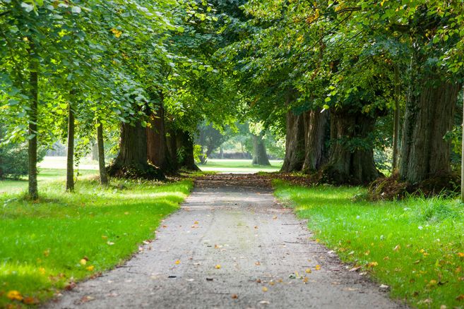 Park