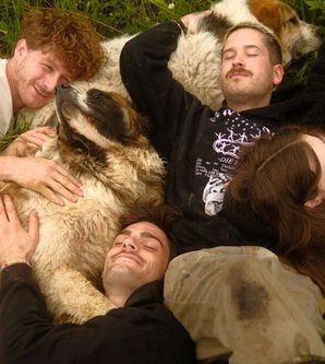 Tierbrücke – Jede Seele braucht ein Zuhause