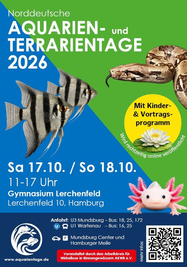 Flyer der Veranstaltung