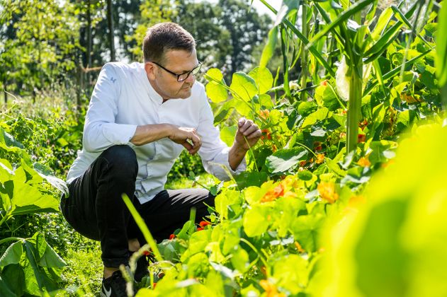 Person in weißem Hemd untersucht Pflanzen im Garten.