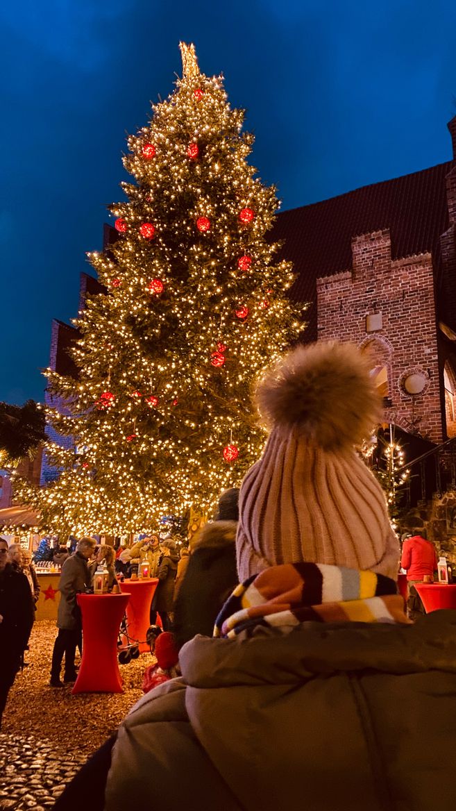 Ein großer, festlich beleuchteter Weihnachtsbaum auf einem Weihnachtsmarkt bei Nacht, umgeben von Menschen und einem historischen Gebäude im Hintergrund.