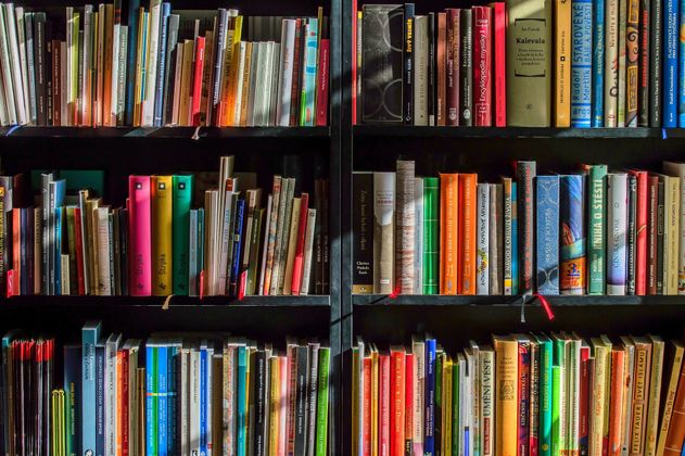 Ein Bücherregal voller bunter Bücher in einer Bibliothek.