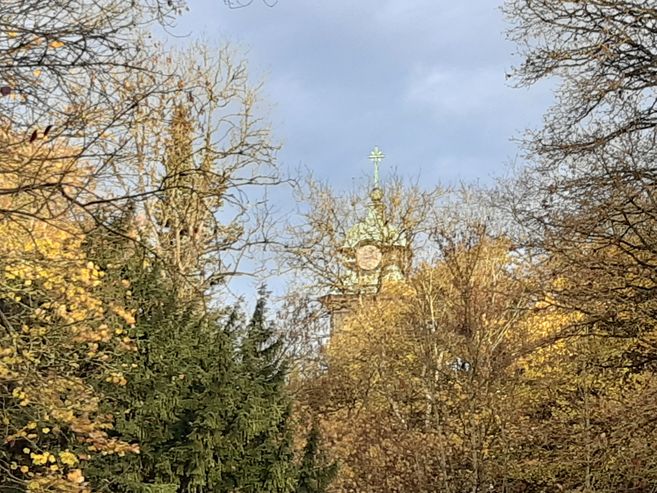 Herbstwald beim GSI