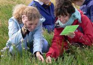 Schutzstation Wattenmeer e. V