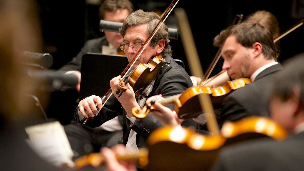 Musiker der Tschechischen Kammerphilharmonie Prag spielen Geigen während eines Konzerts.