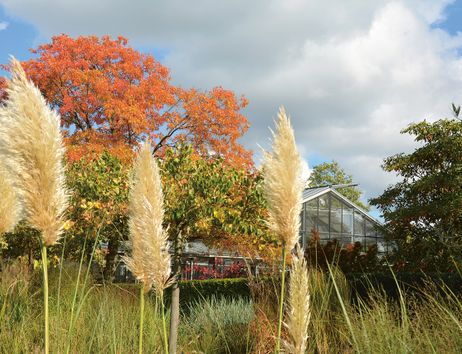 Der Garten im Ehren im Spätsommer