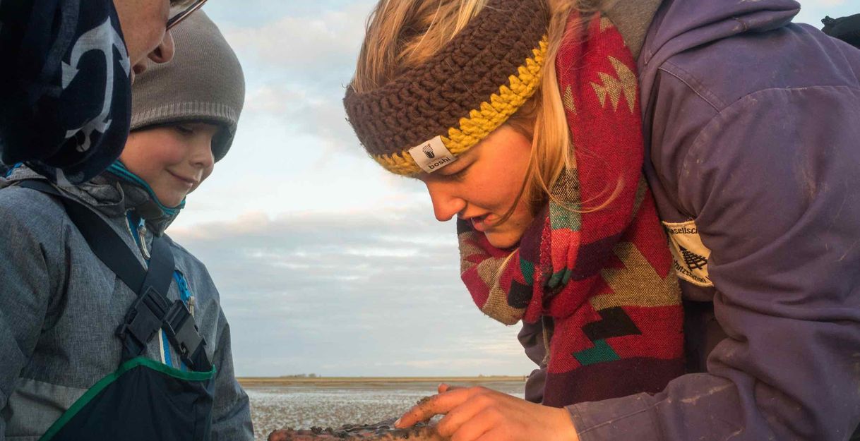 Wattwanderung für Familien: Das Watt entdecken!