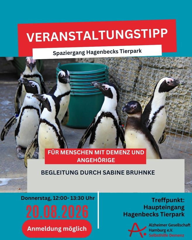 8 Pinguine im Gehege von Hagenbeck 