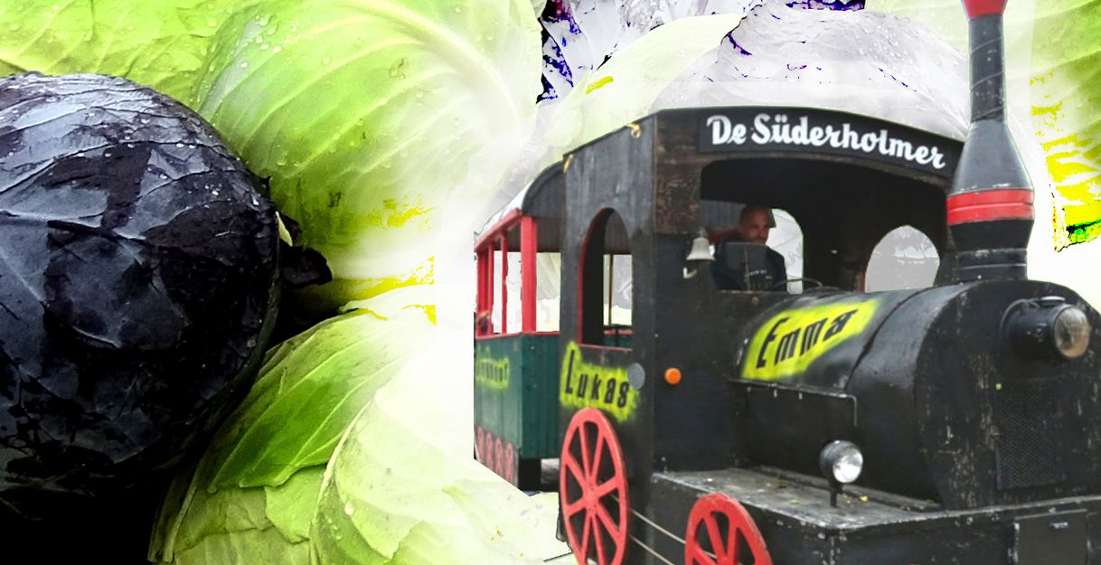 Eine kleine schwarze Lokomotive mit roten Rädern vor einem Hintergrund aus Kohlköpfen.
