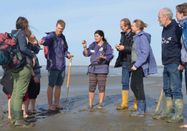 Schutzstation Wattenmeer e.V.