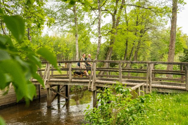 Wietze Brücke in Müden (Örtze), © Lüneburger Heide GmbH | Dominik Ketz