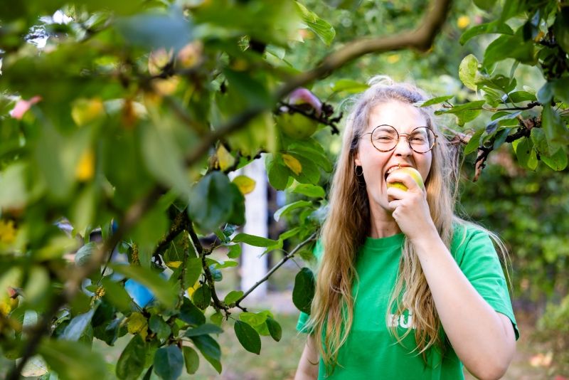 Person unterm Apfelbaum, die in einen Apfel beißt