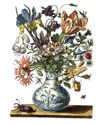 Ausstellung "Frauen – Bibliothek – Geschichte", © Eutiner Landesbibliothek